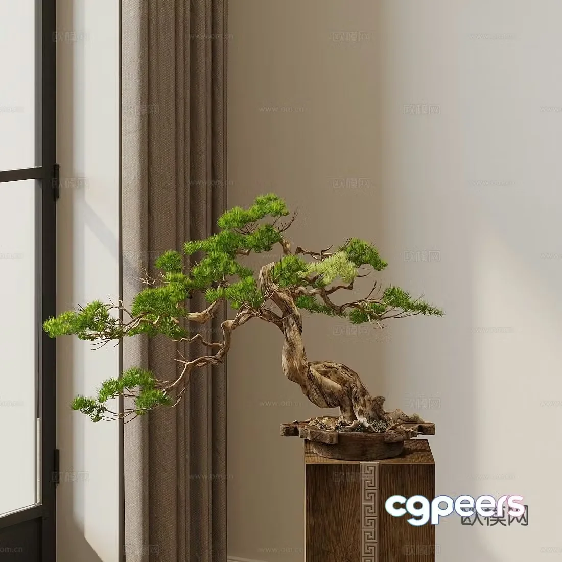 New Chinese style bonsai 3D model of welcoming pine bonsai