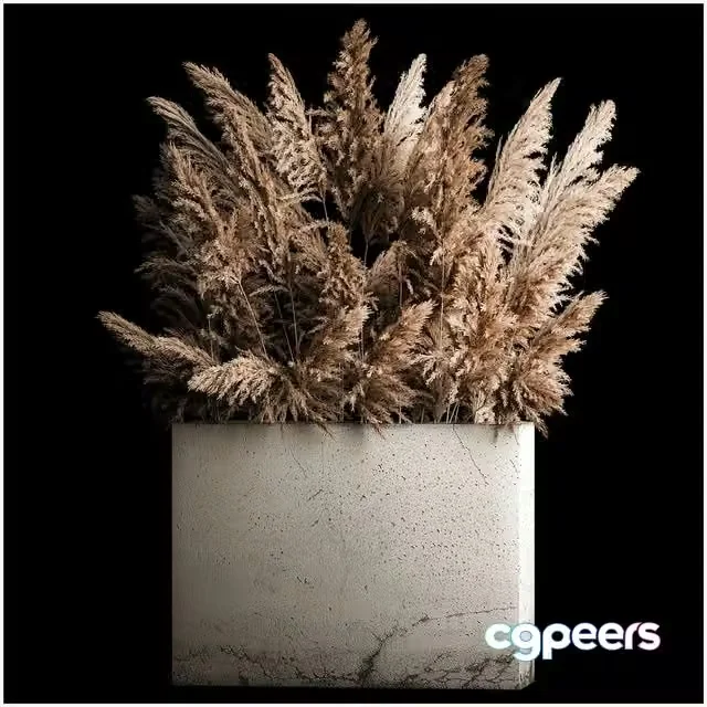 3ds Max Free – Dried flower bouquet of pampas from dry reeds in a concrete vase of pampas grass, Cortaderia. 268