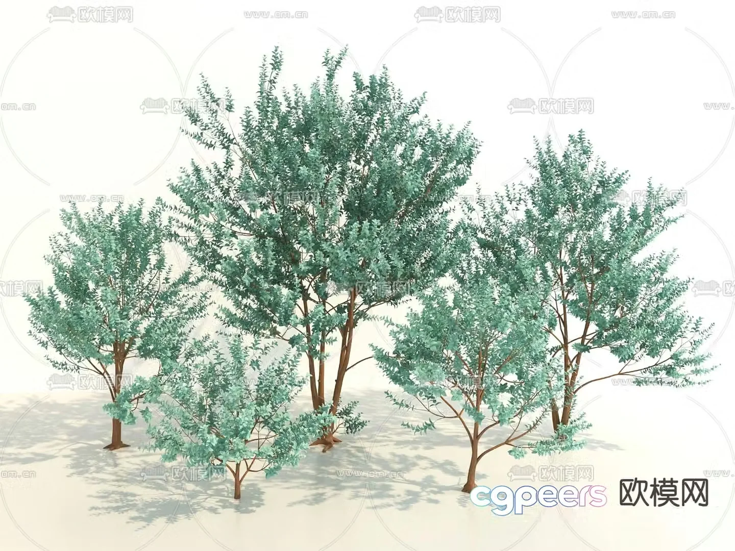 Modern plants Landscape tree 3d model