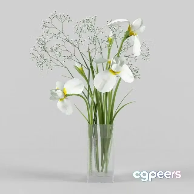 3ds Max Free – Irises and gypsophila