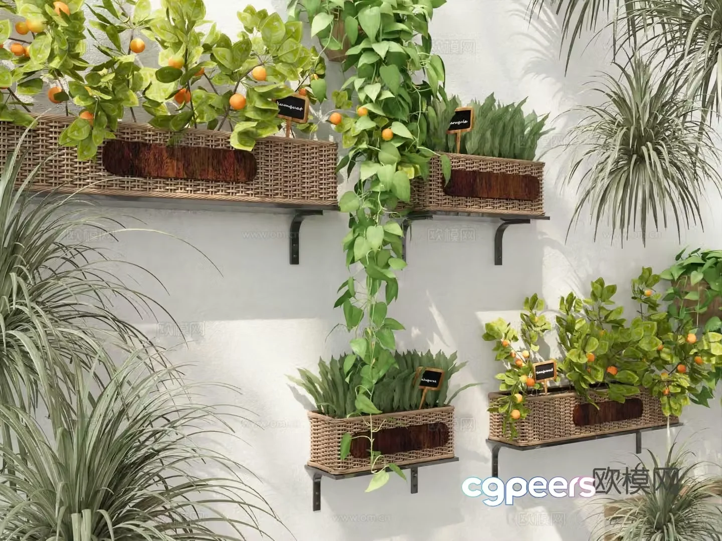 Potted plants wall hanging green plants wall decoration potted plants 3D model