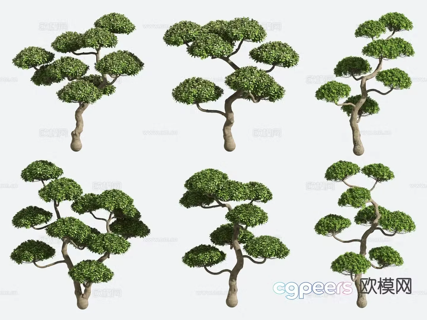 Small tree Modeling tree Gardening Landscape tree 3d model