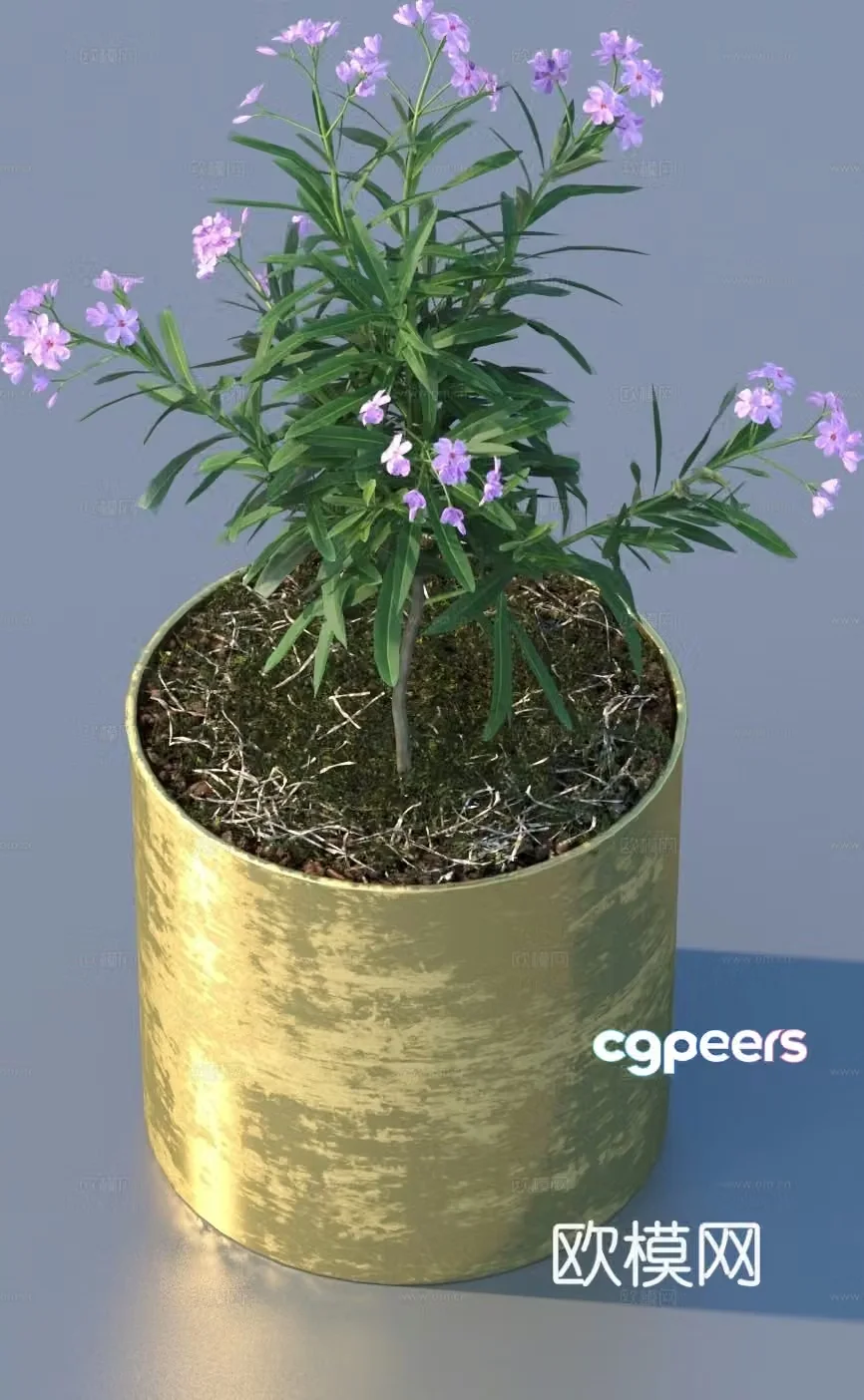 flowerpot potted plant green plant plant 3d model