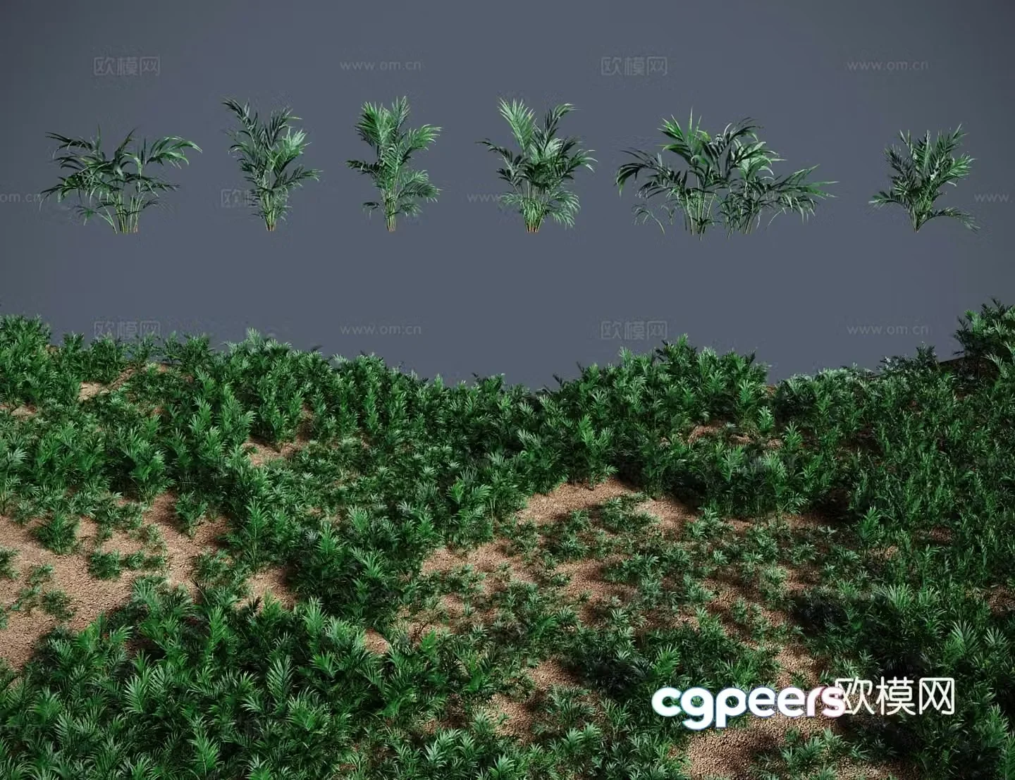 Modern landscape tree shrub flat leaf brown 3d model