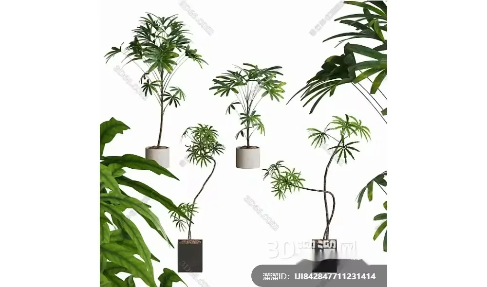 Green Plants In Pots 3D Model – 12895 – VRAY Render