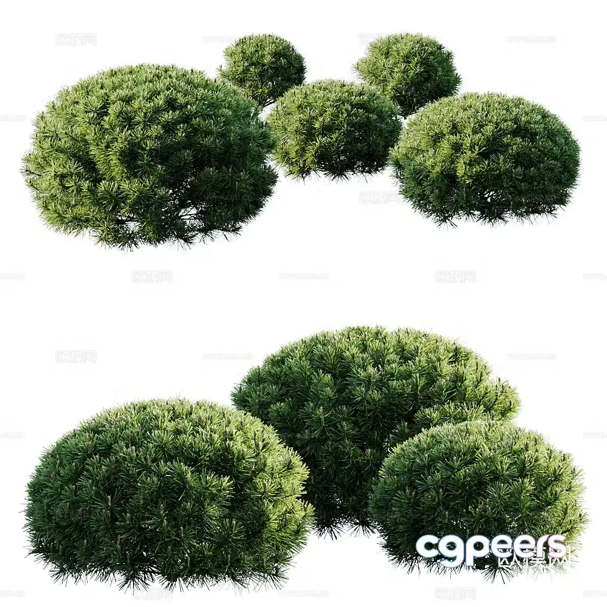 Tree 3D Model