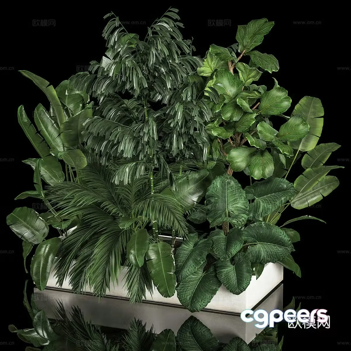 Green plant potted flower box 3D model