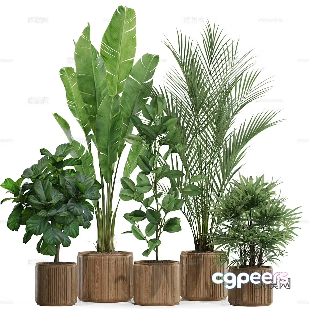 Green plant potted 3D model