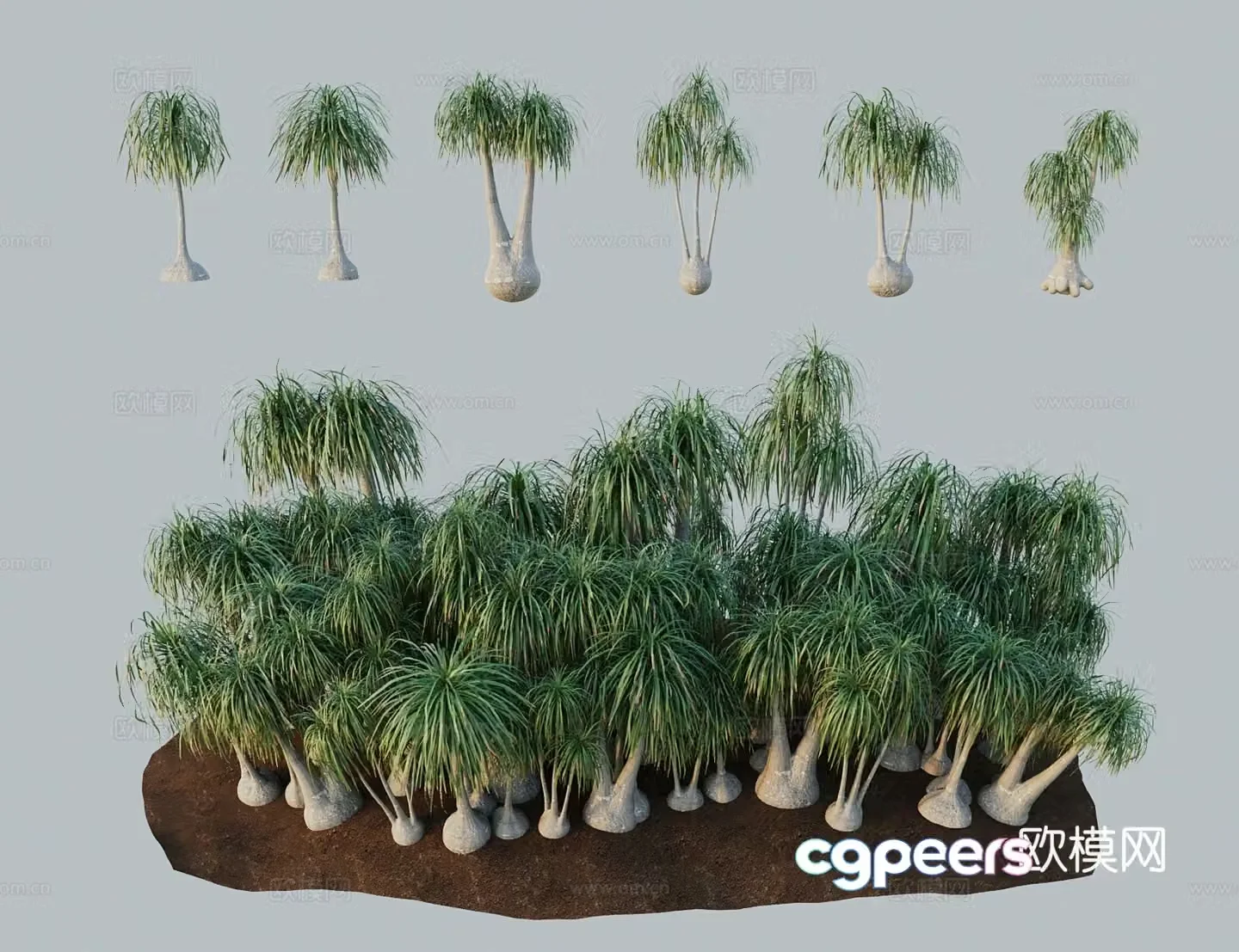 Modern landscape tree wine bottle orchid elephant leg tree 3d model