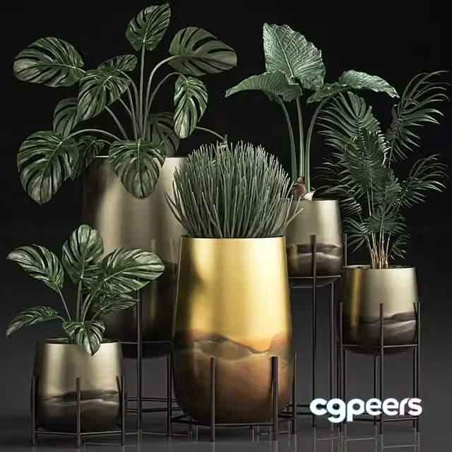 3ds Max Free – Collection of plants in luxury gold pots on legs Set 544