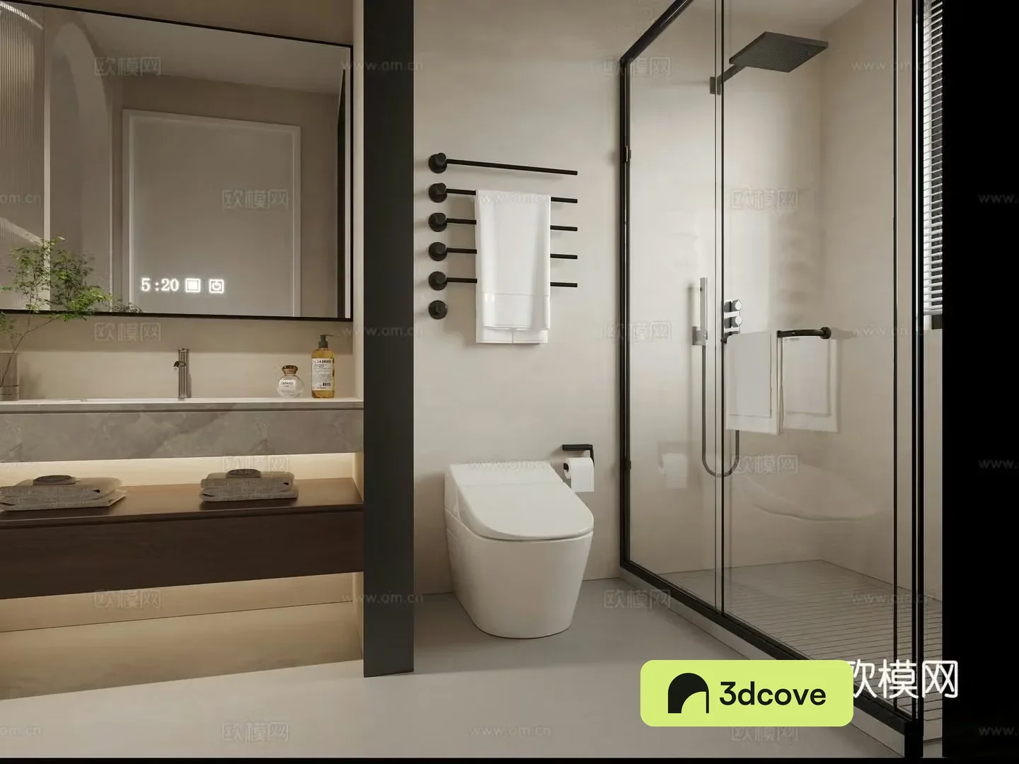 Modern bathroom wet and dry partition