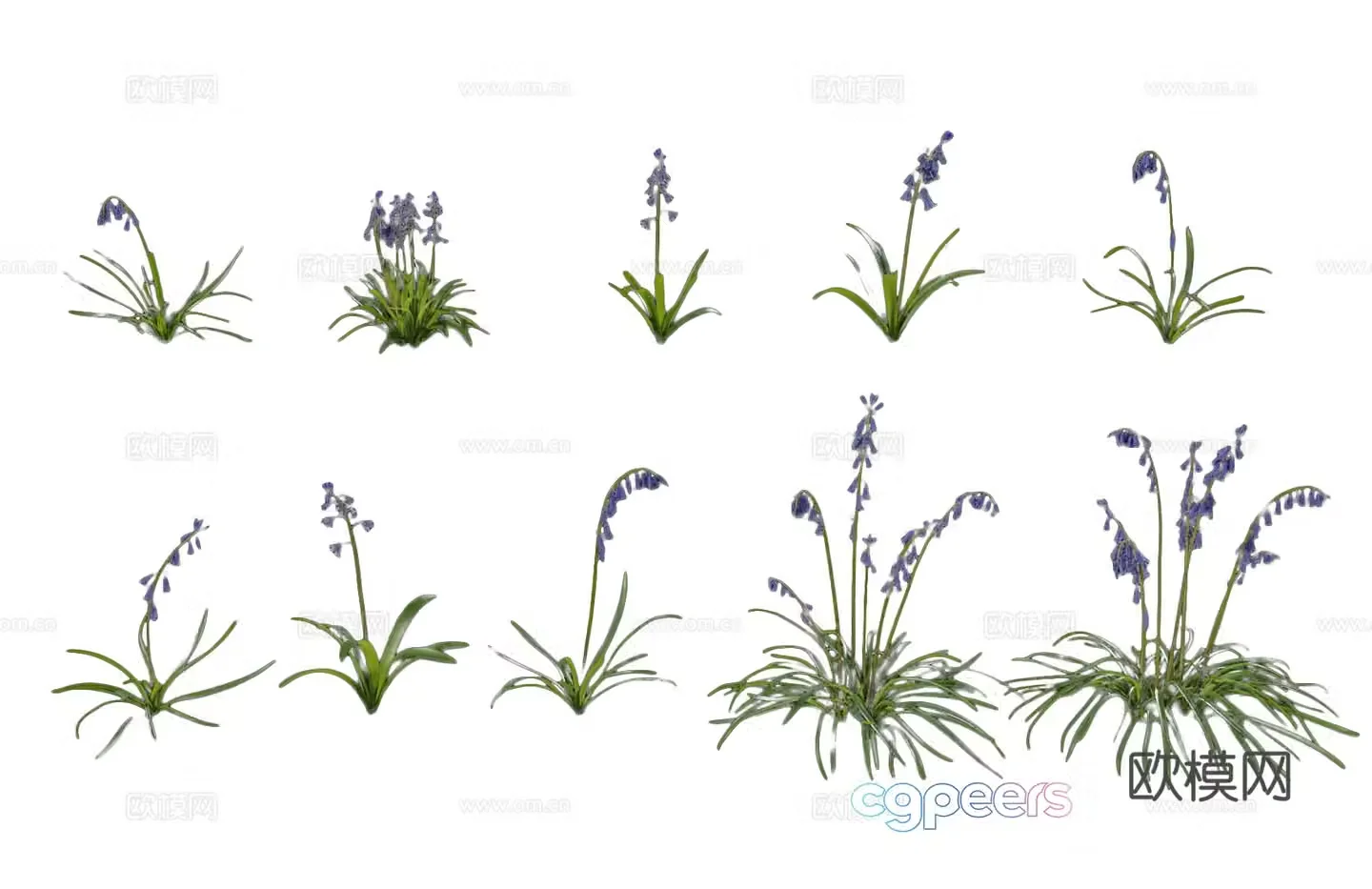 Modern hyacinth flowers blue bell flowers purple flowers outdoor hyacinth flowers plants and flowers garden green 3d model