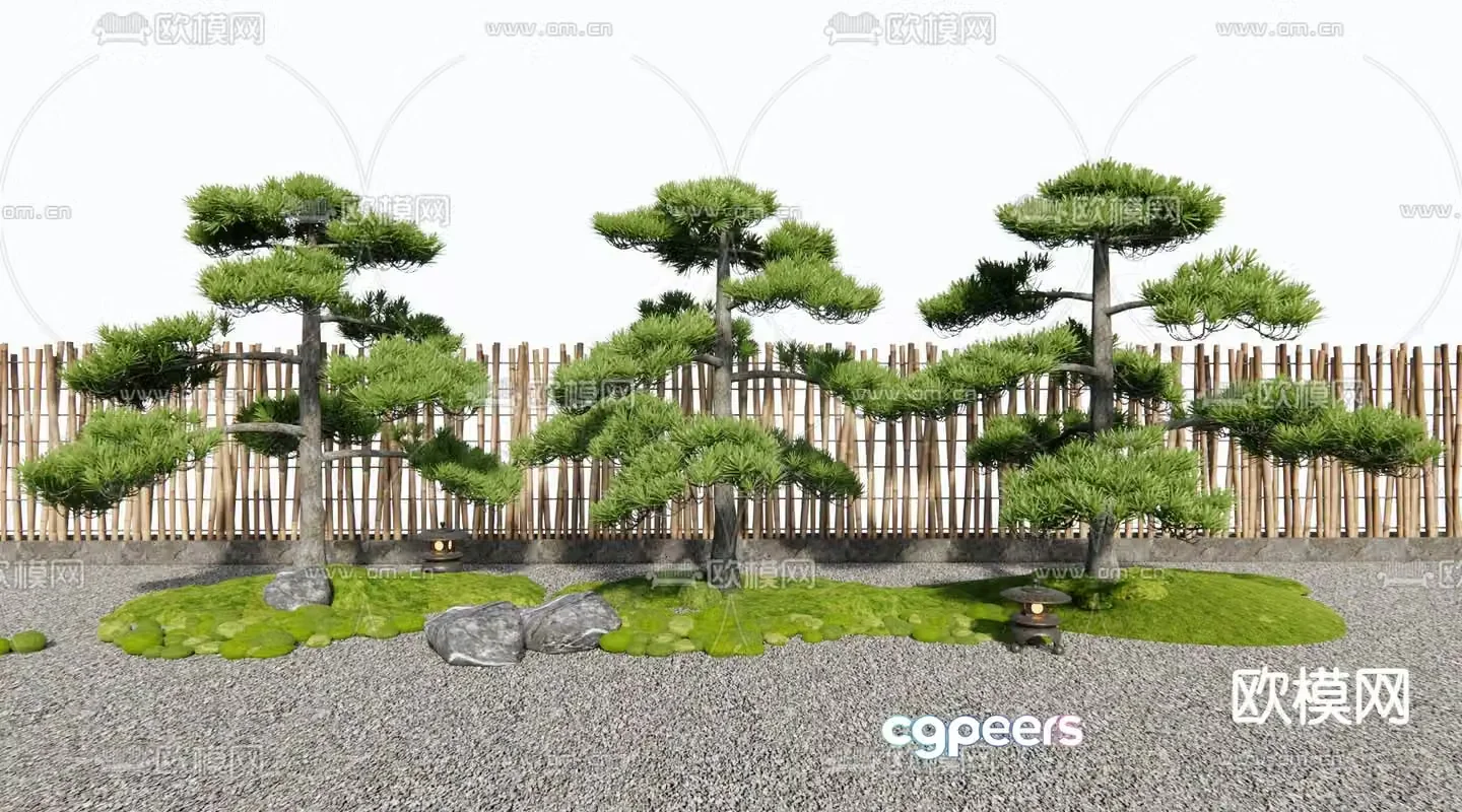 Landscape sketch pine tree black pine 3d model