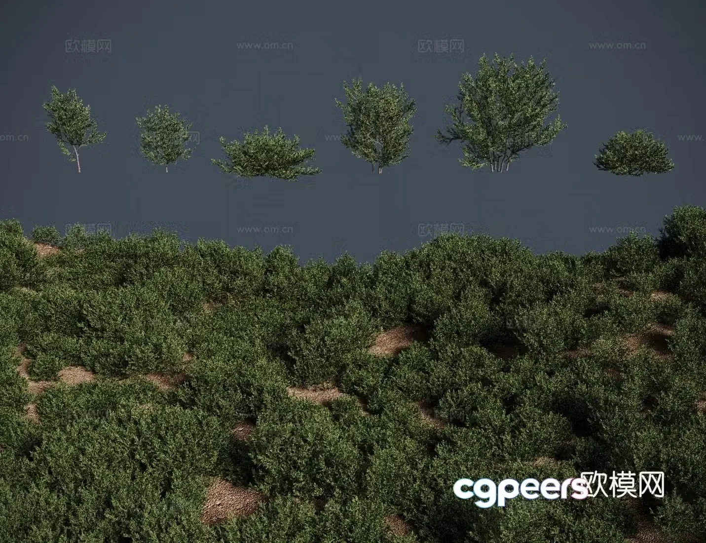 Modern meadow lawn Salt ear wood meadow shrub 3d model