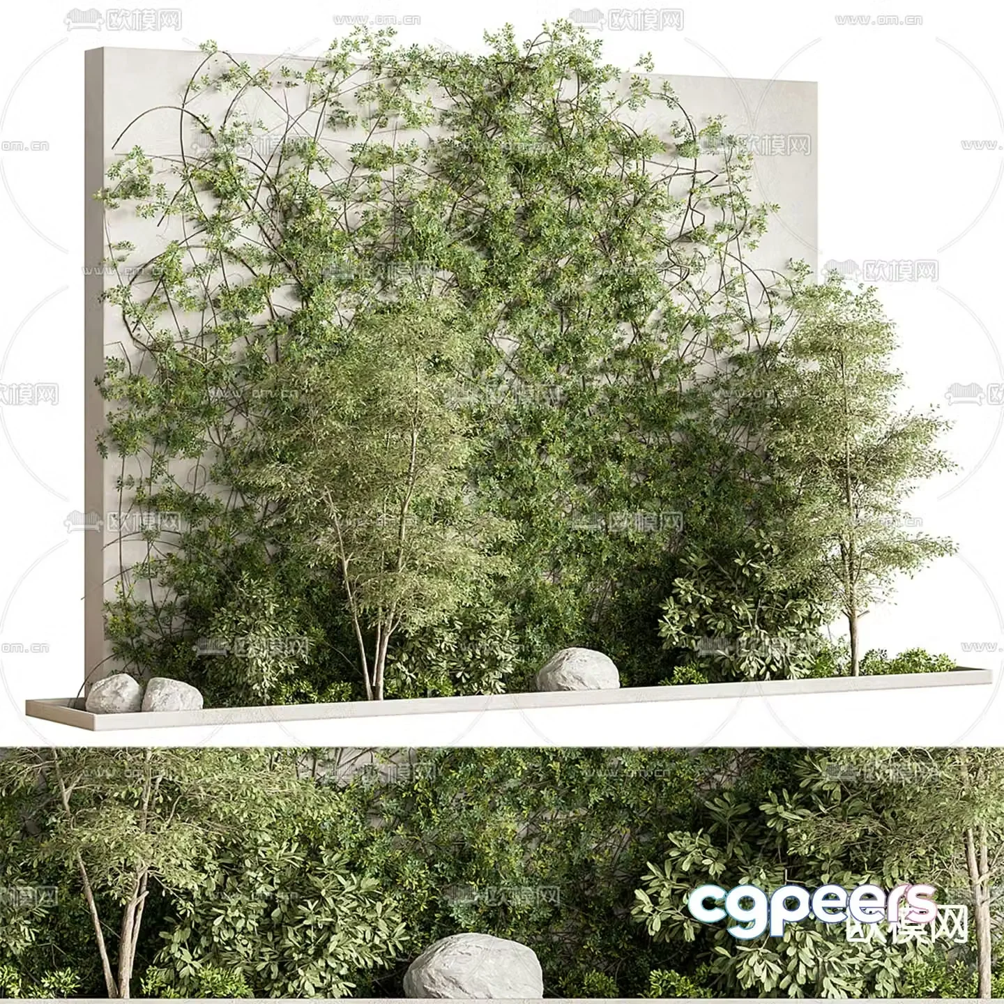 Landscape sketch plant landscaping 3D model