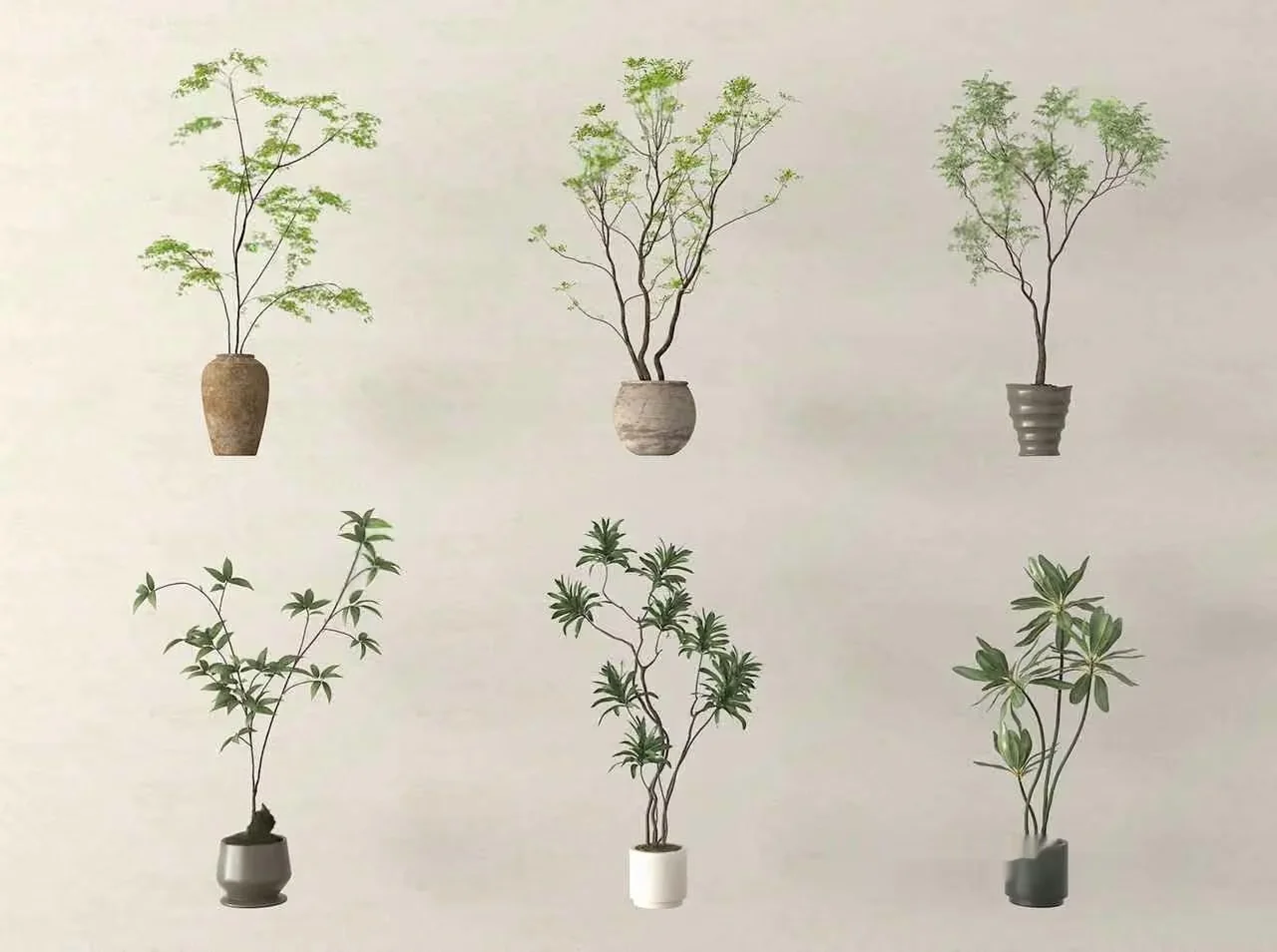 Potted Plants 3D Model – 13994 – VRAY Render