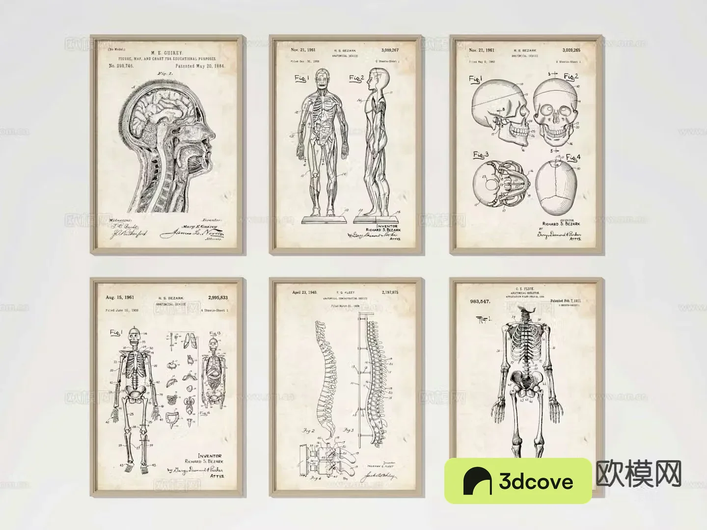 Human body table medical hanging painting decorative painting