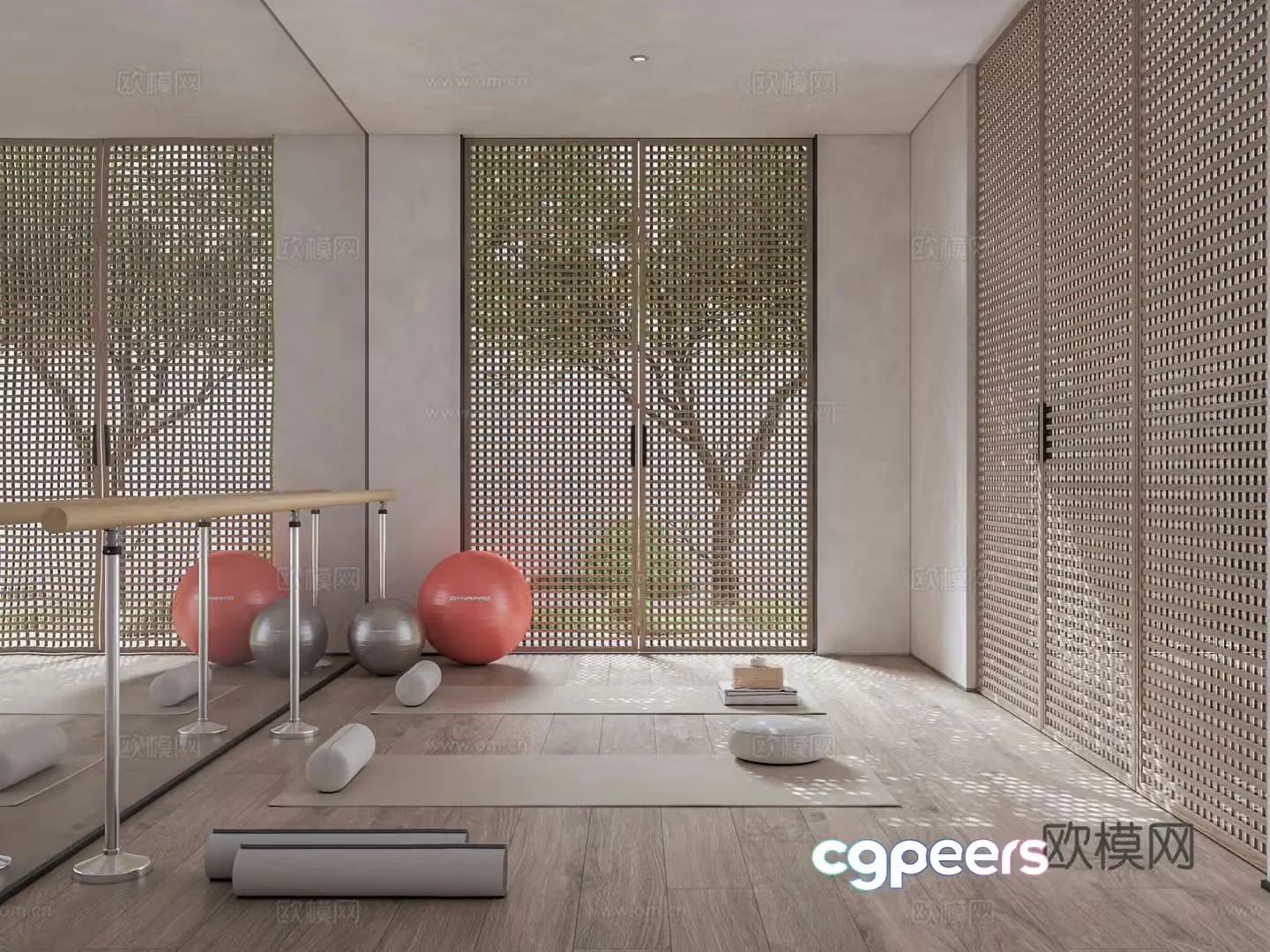 Villa yoga room gym home gym yoga equipment yoga mat whole wall mirror 3d model