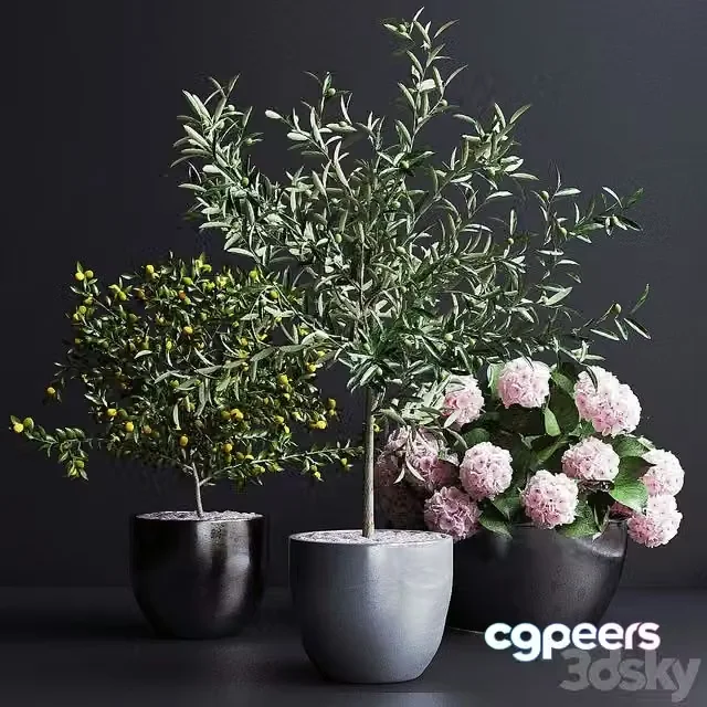 3ds Max Free – Decor, trees