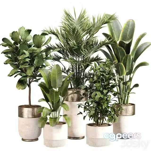 3ds Max Free – Indoor Plant Set 052