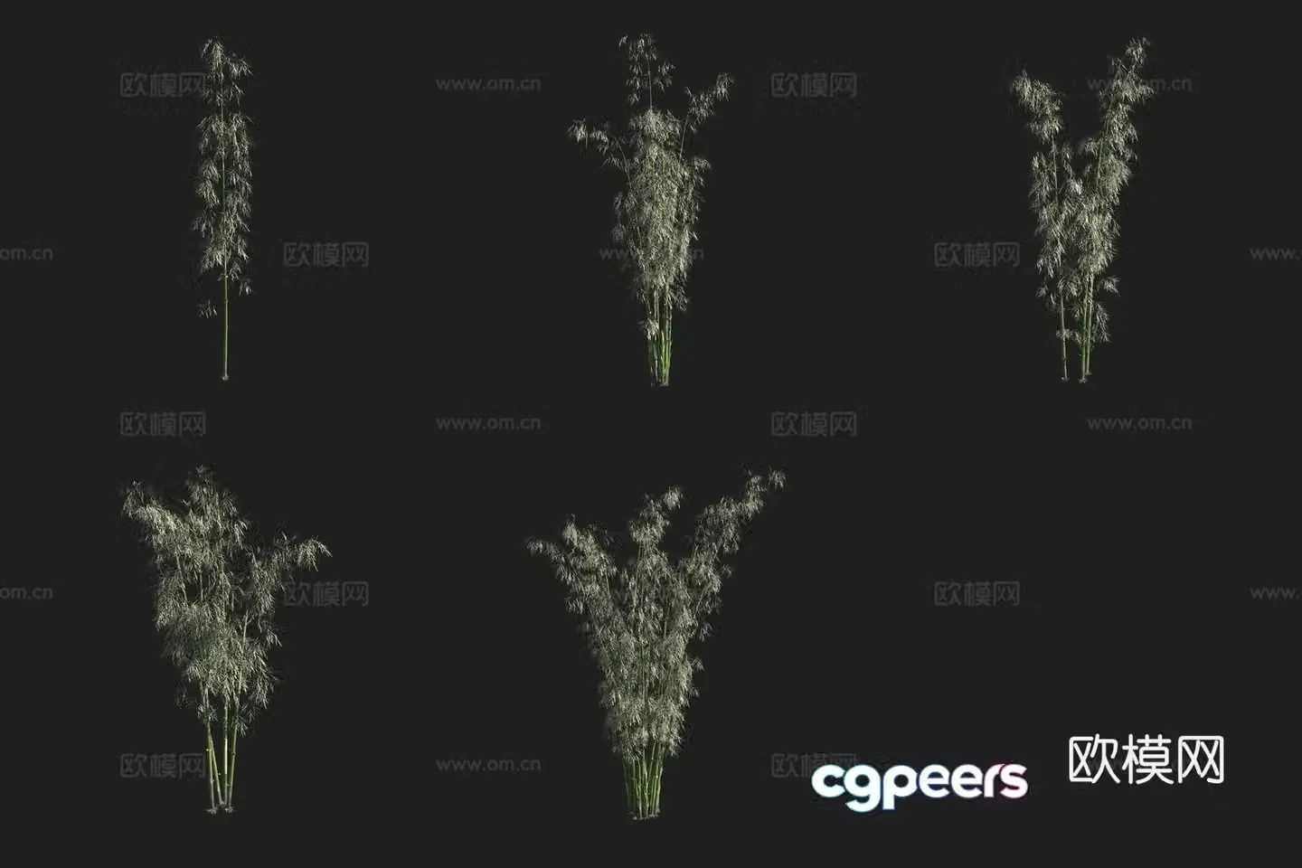 Green skin bamboo bamboo forest 3d model