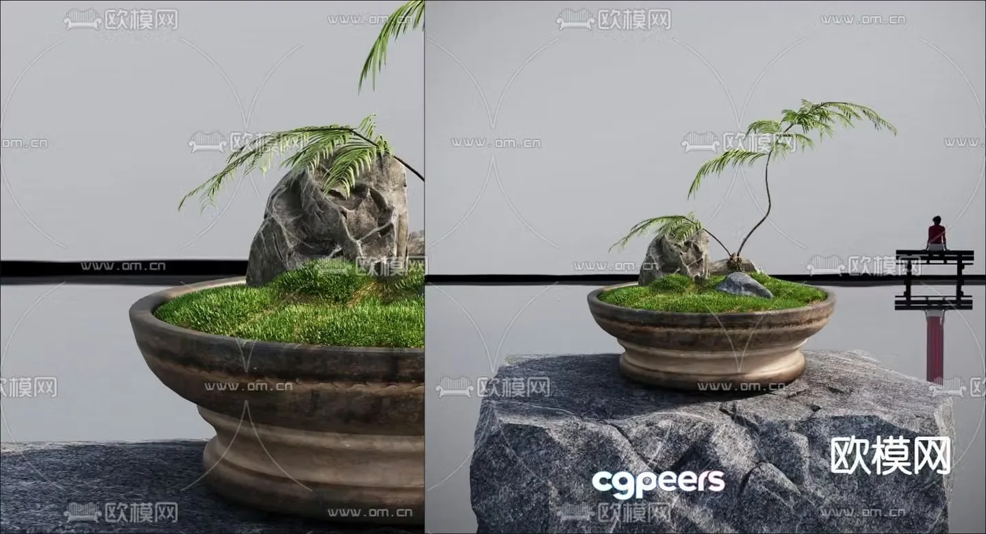 Modern potted plant moss 3d model