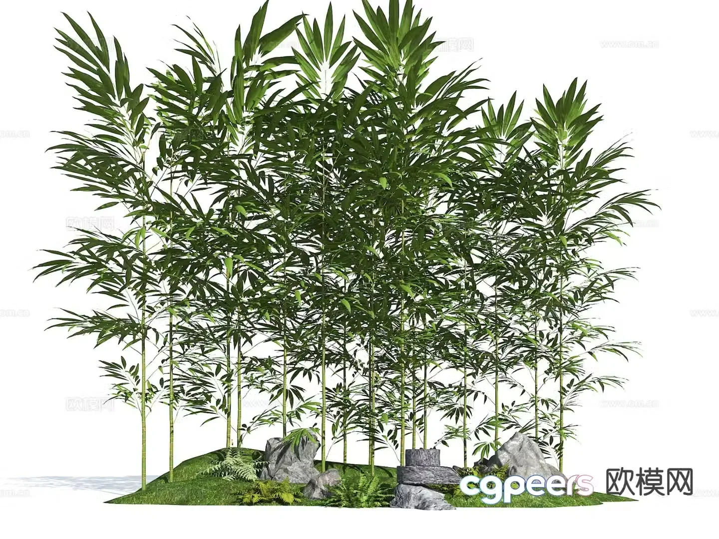 Bamboo Landscape Bamboo Arhat Bamboo Xiangfei Bamboo Green Bamboo Bamboo Forest 3D Model