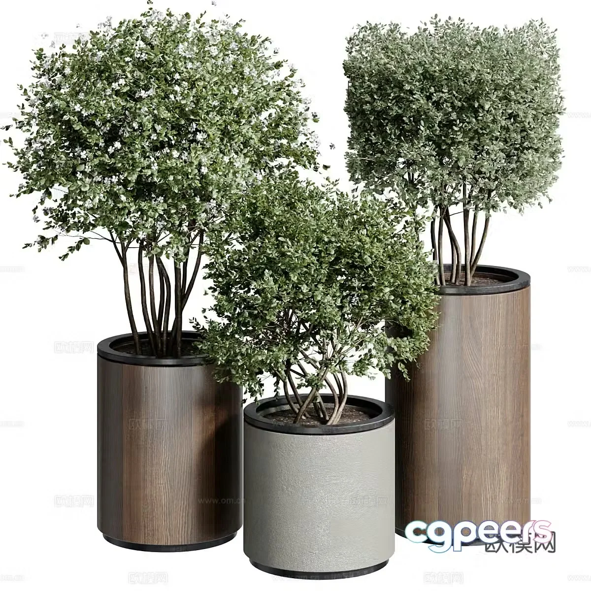 indoor potted plant green plant 3d model