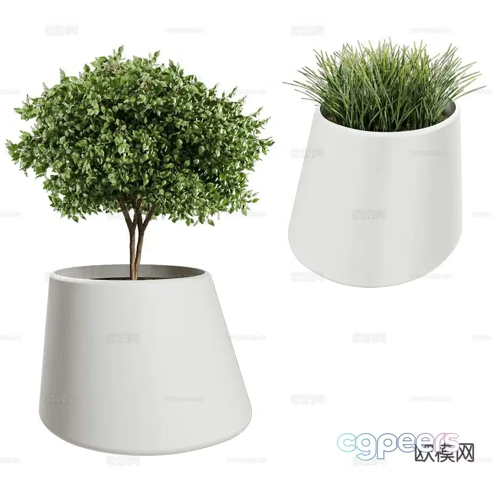 Systemtronic modern green plant potted 3d model
