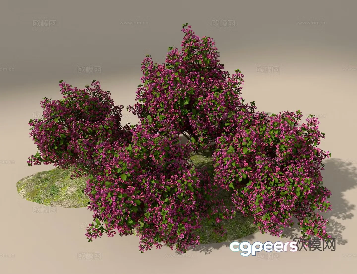 3D model of brocade flower