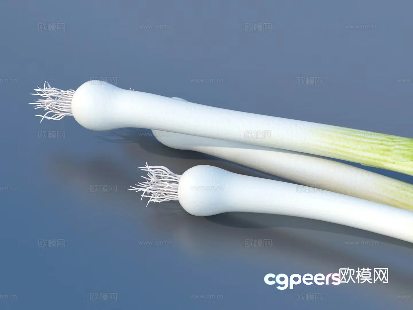 3D model of green onion green onion vegetable food