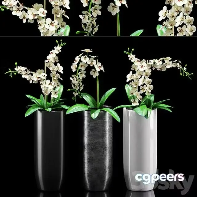 3ds Max Free – Plants 216