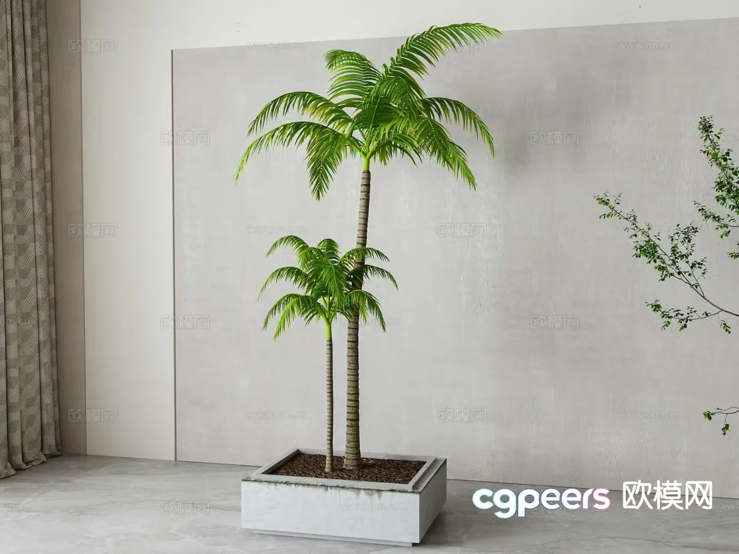 coconut tree tree pool sea tree 3d model