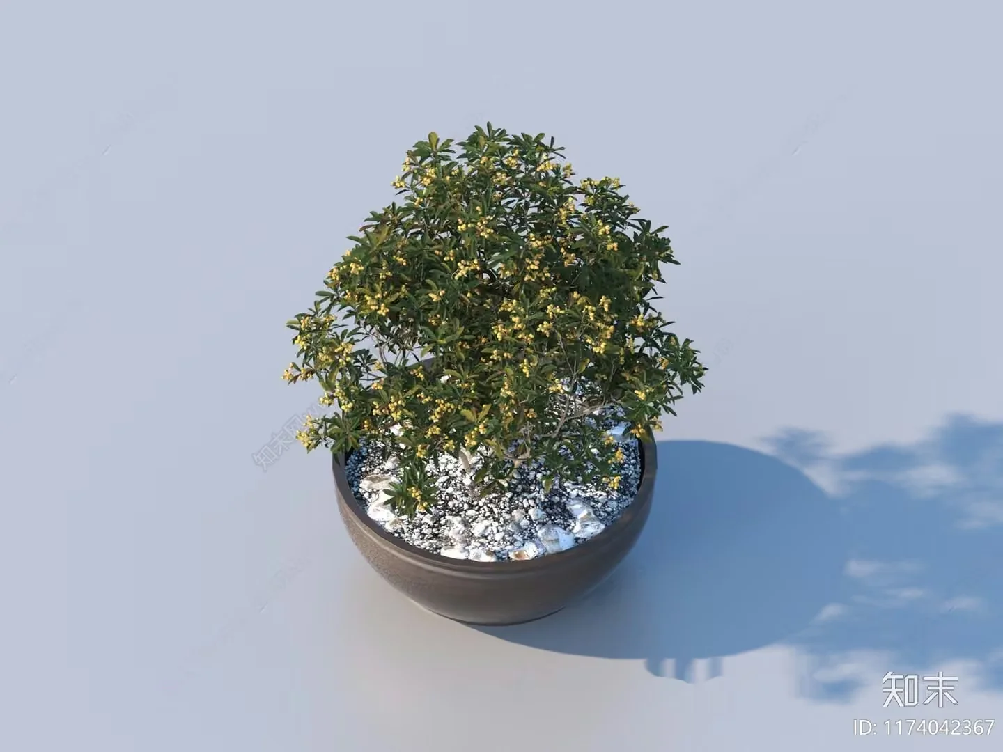 A Potted Plant With Yellow Flowers 3D Model – 13995 – VRAY Render