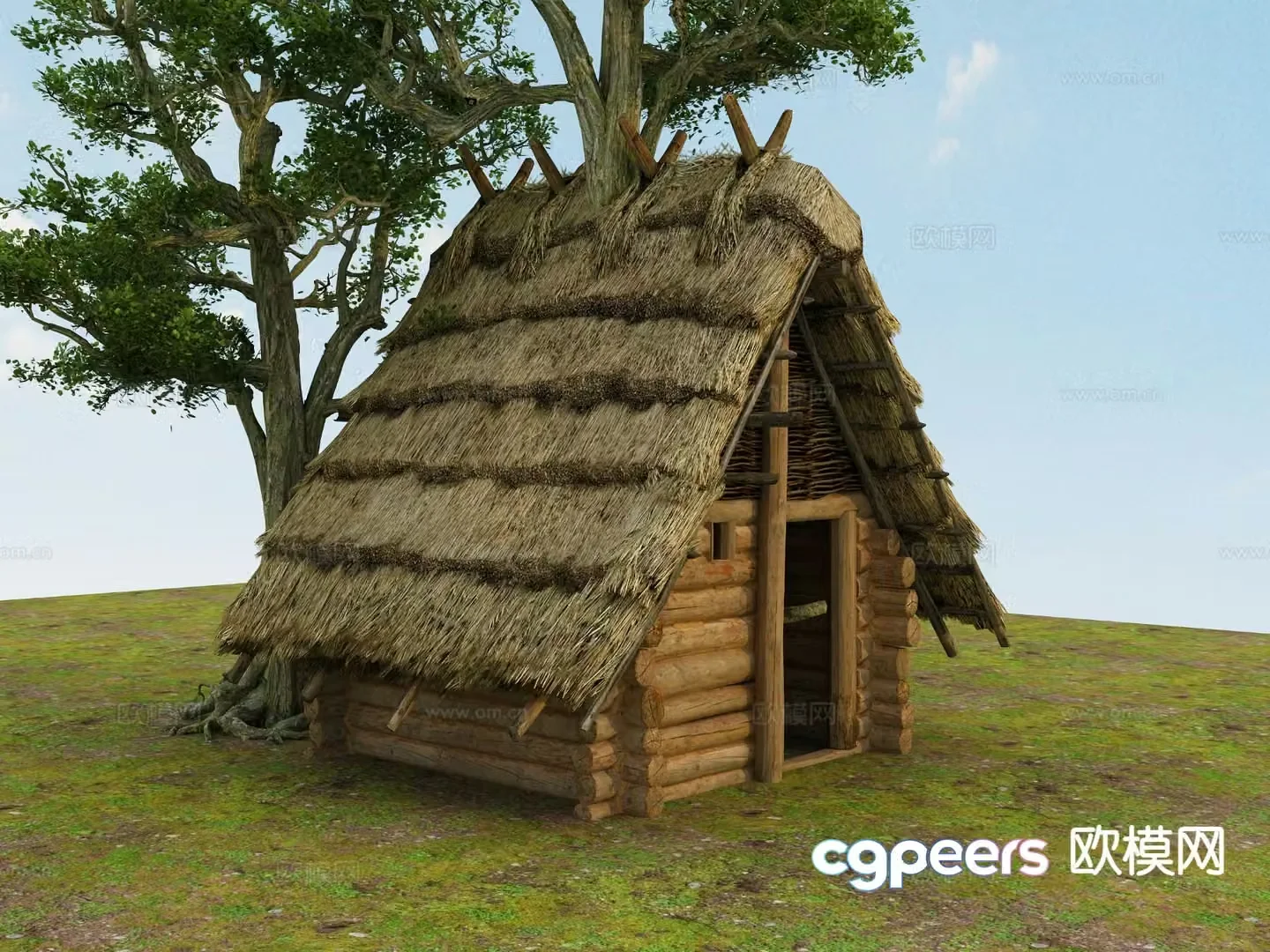 Chinese wooden house straw rural house rural residential appearance 3D model