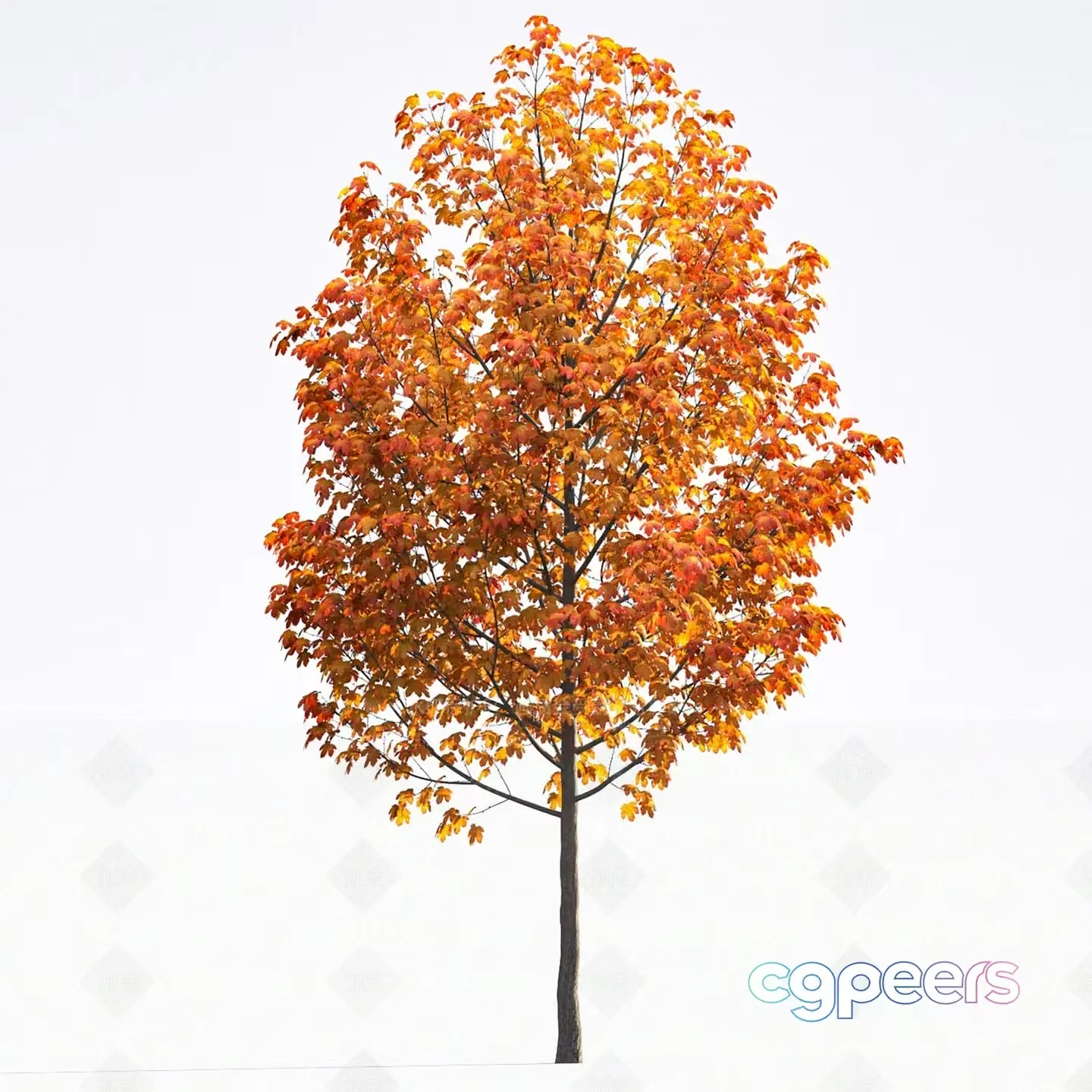 A Tall Tree With Orange Leaves 3D Model – 4114 – VRAY Render