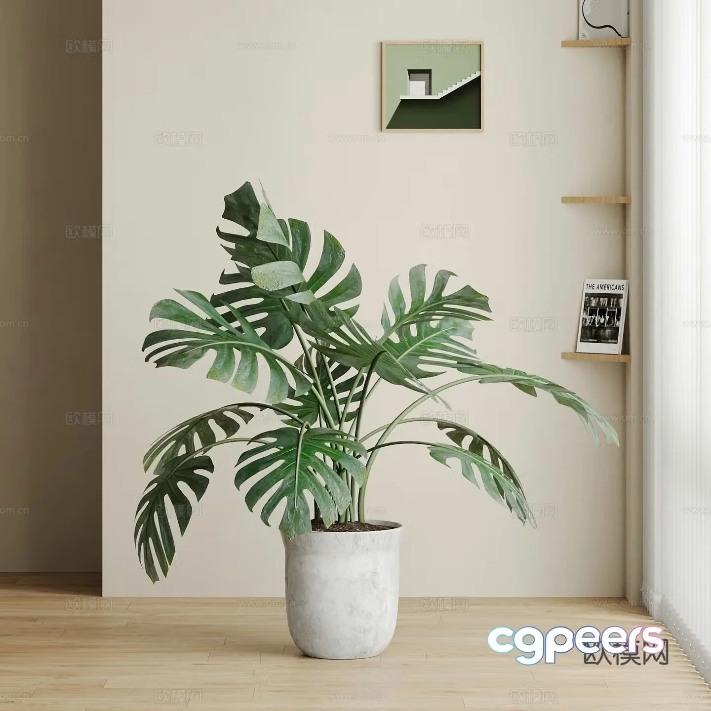 Modern green plant potted monstera 3D model
