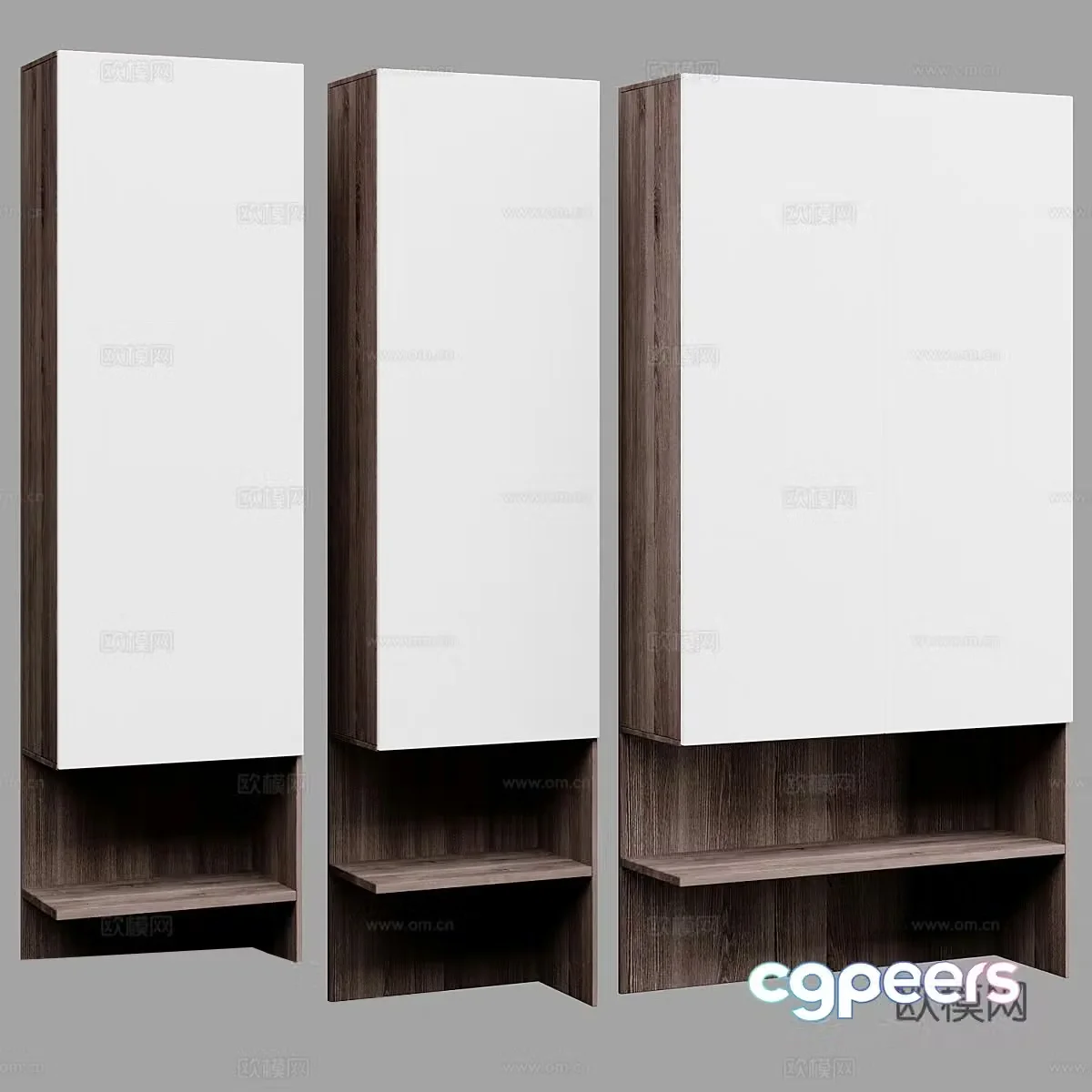 Modern bookcase 3d model