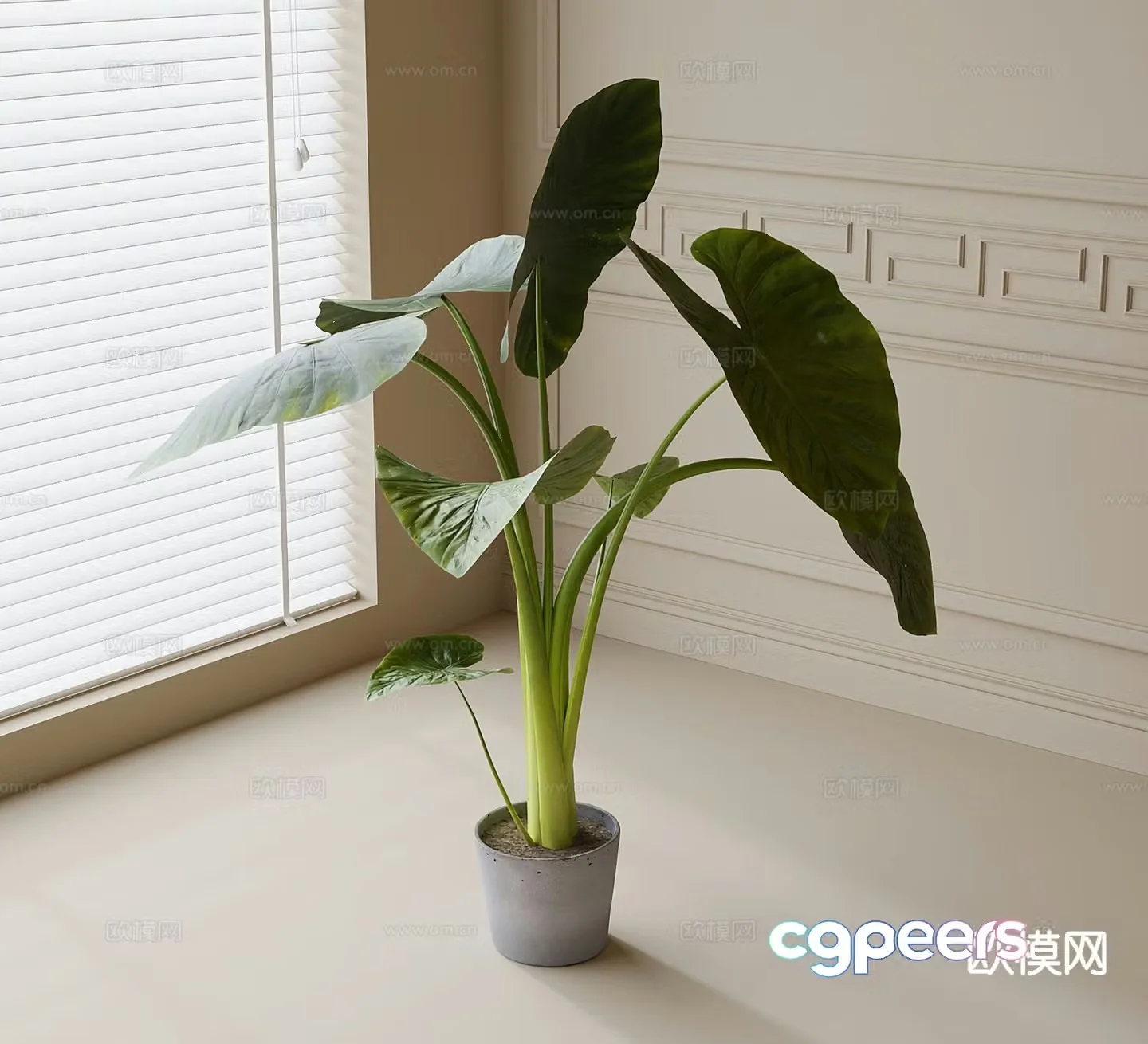 Modern potted plants bonsai green plants 3d model