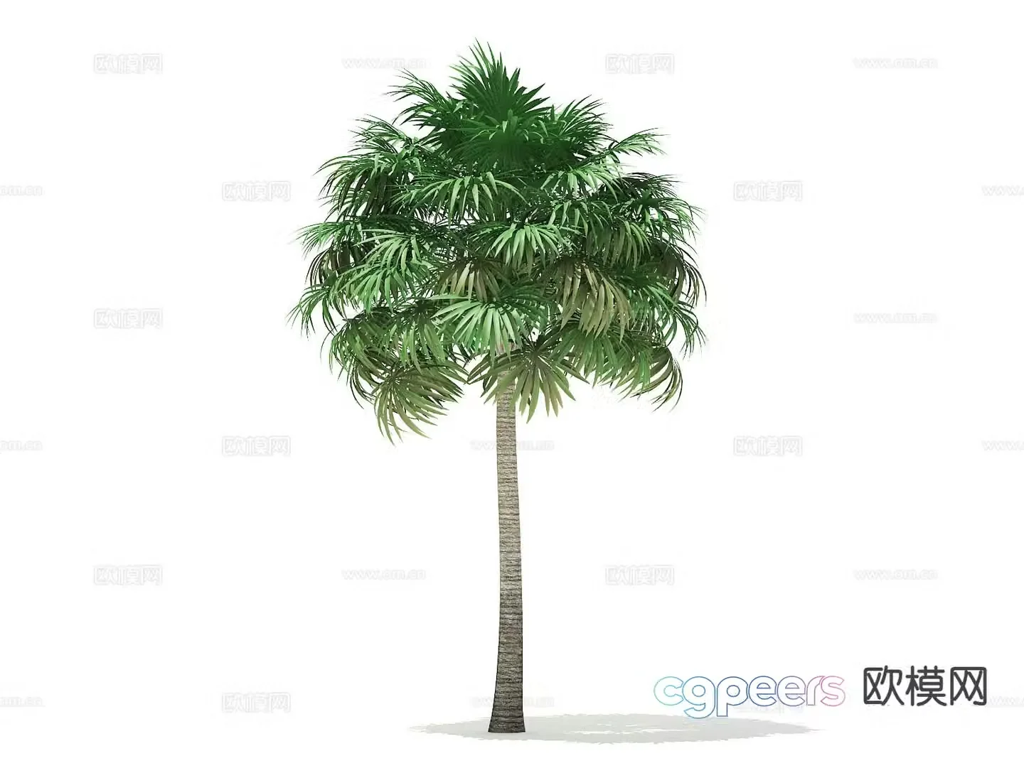 Landscape tree Palm tree Walking tree Tree 3d model