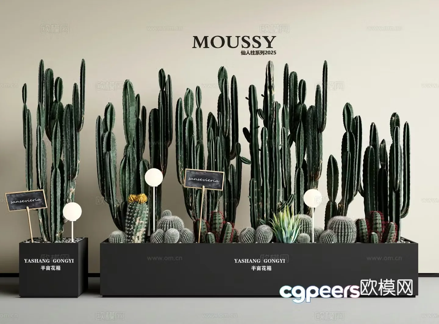 Cactus Cactus column succulent indoor landscape flower box 3D model