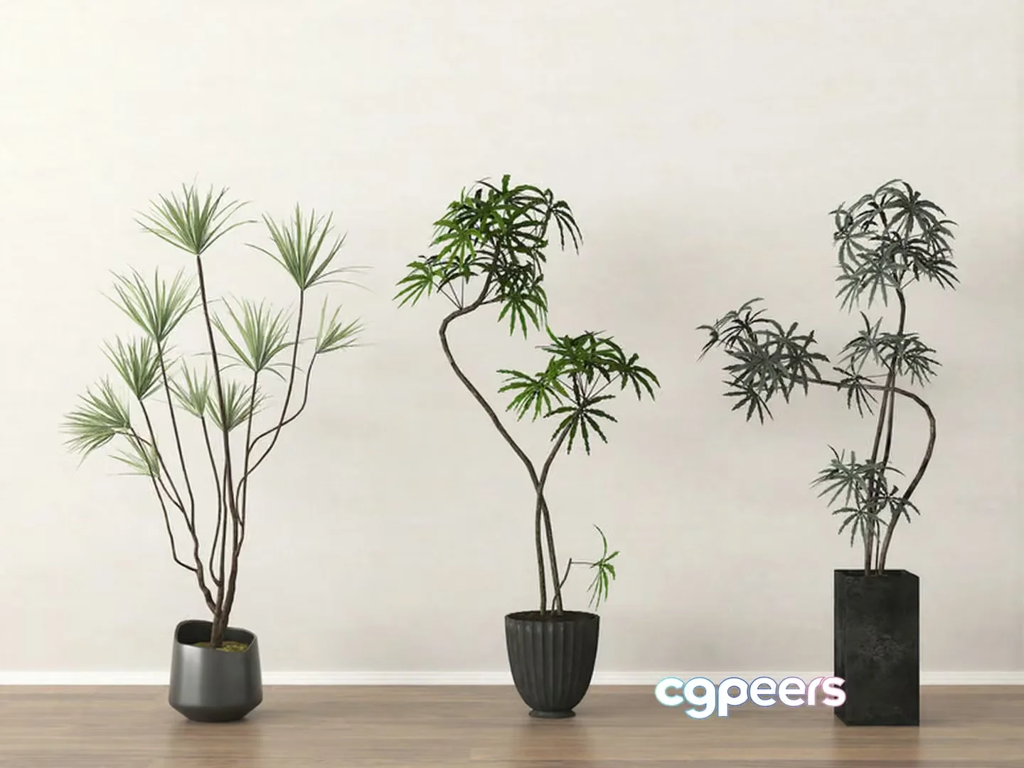 Three Potted Plants 3D Model – 18439 – VRAY Render