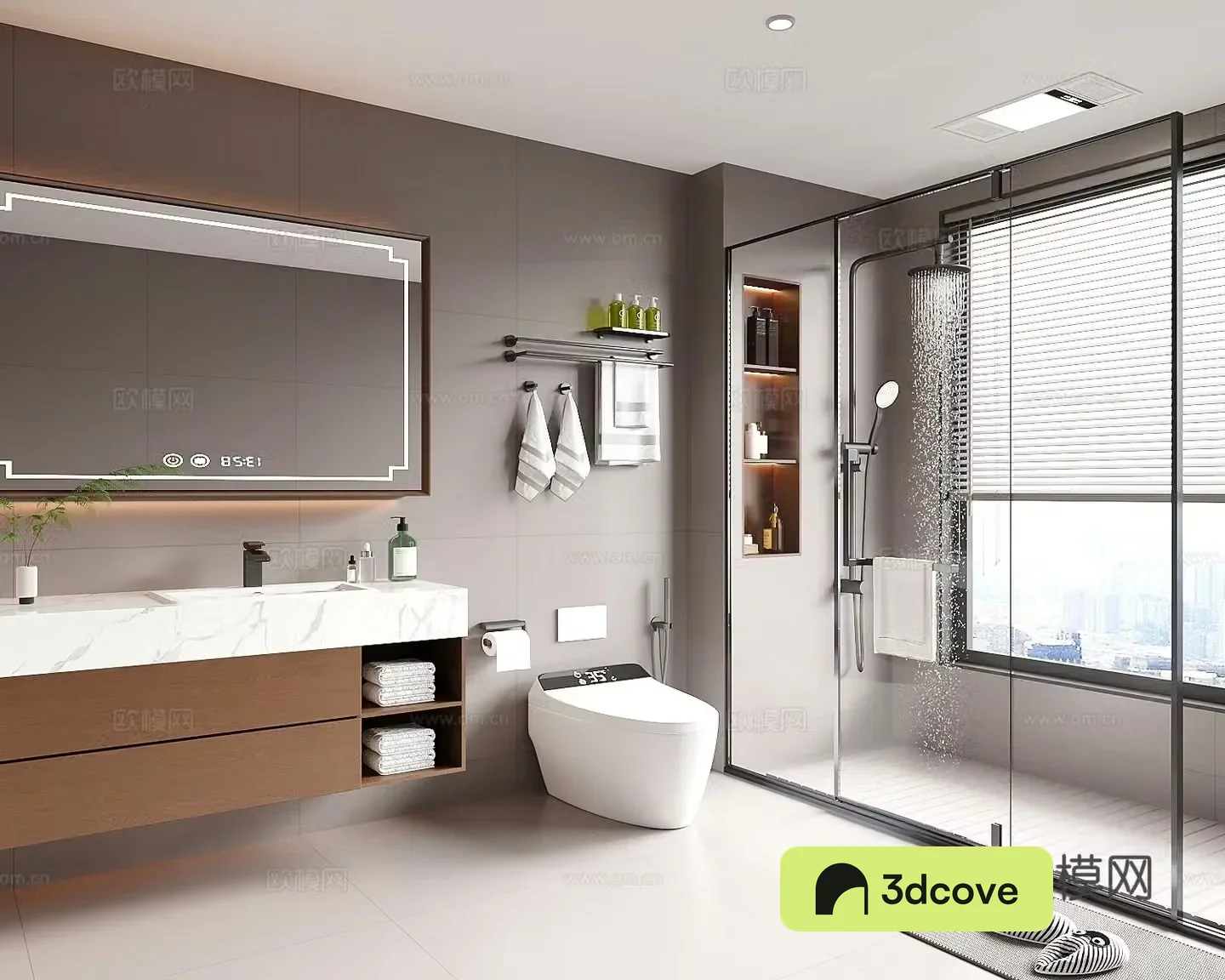 Modern medieval style bathroom dry and wet bathroom