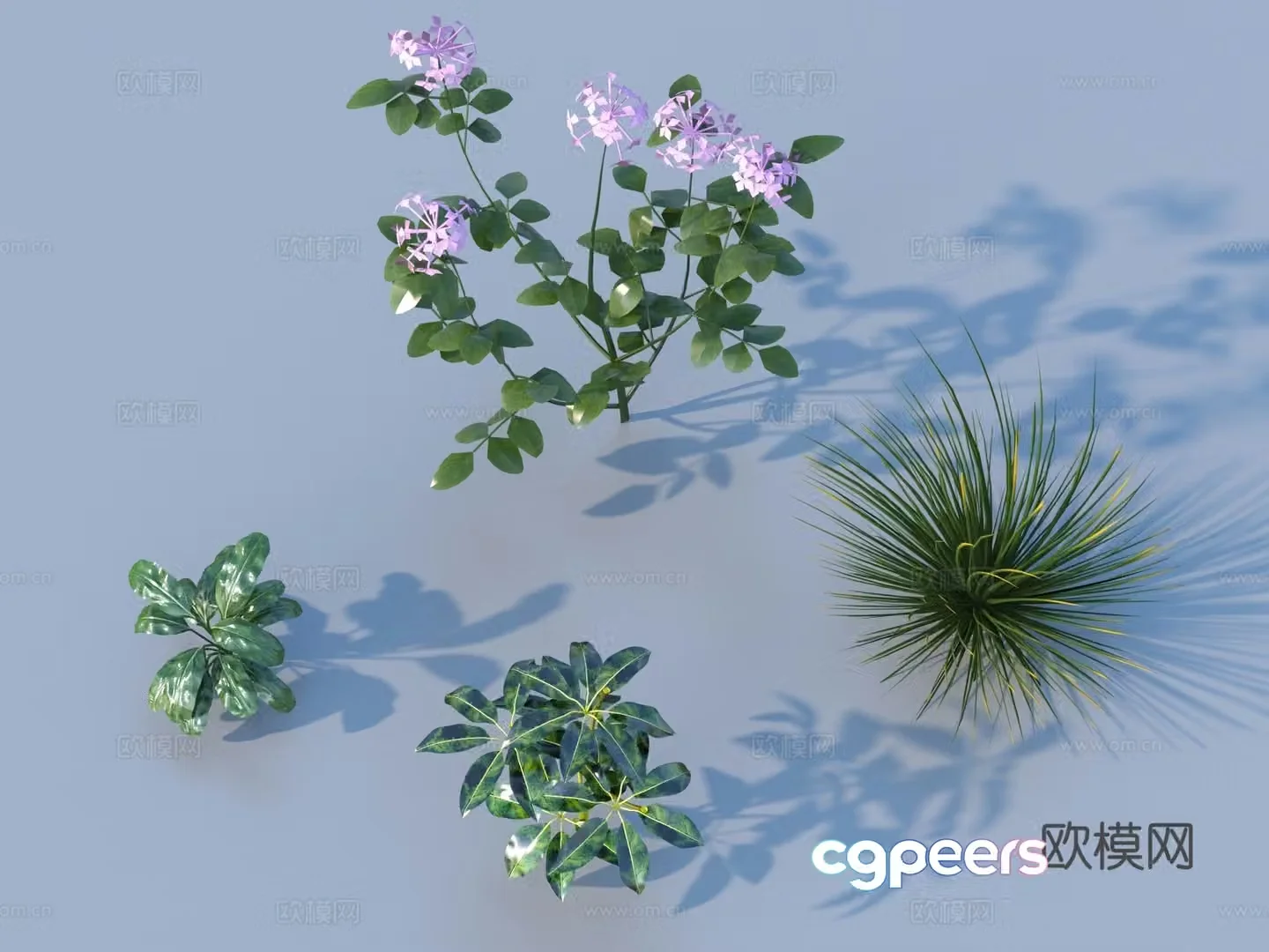 Grass Outdoor Landscape Flowers and Grass 3D Model