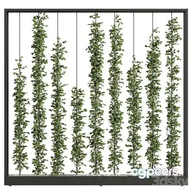 3ds Max Free – Green Wall – Plants partition 06