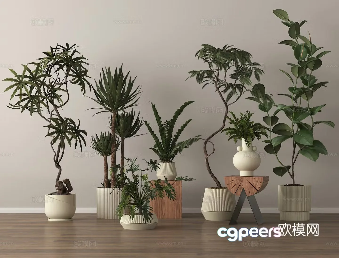 Potted plants Bonsai Green plants 3D model