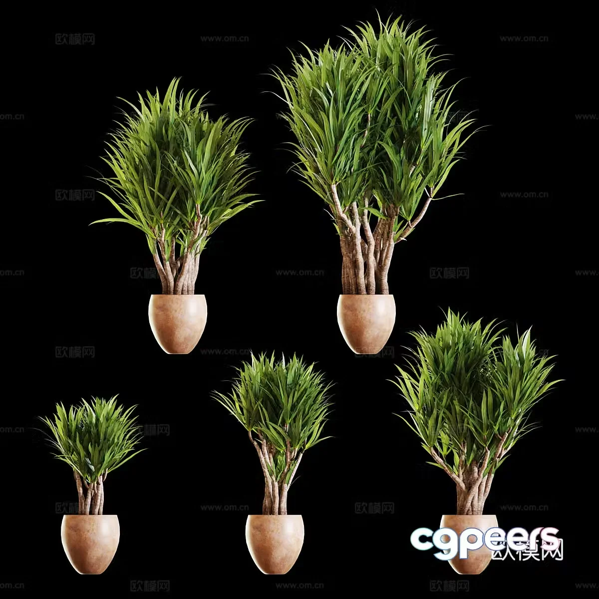 Green plant potted 3D model