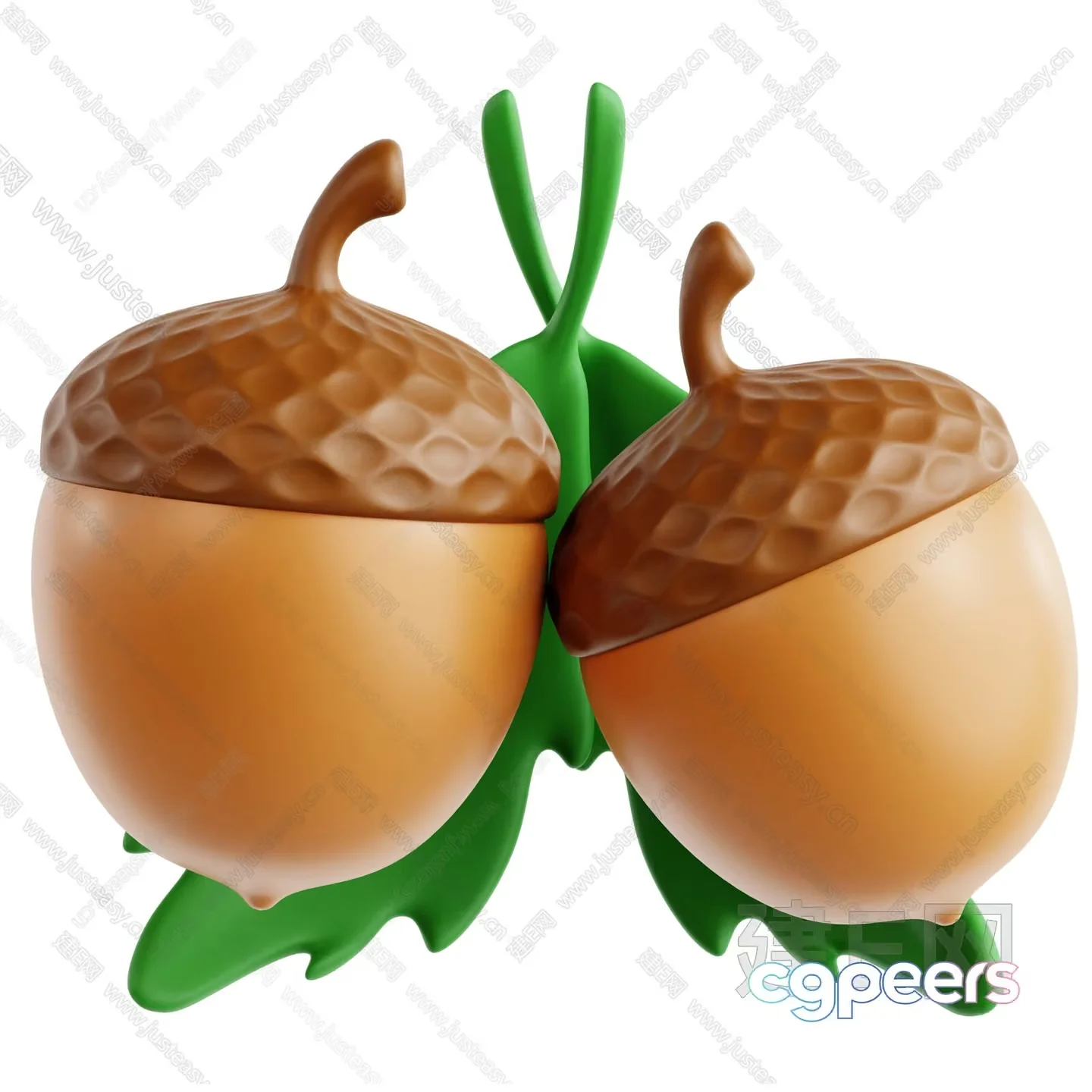 Two Acorns 3D Model – 12707 – VRAY Render