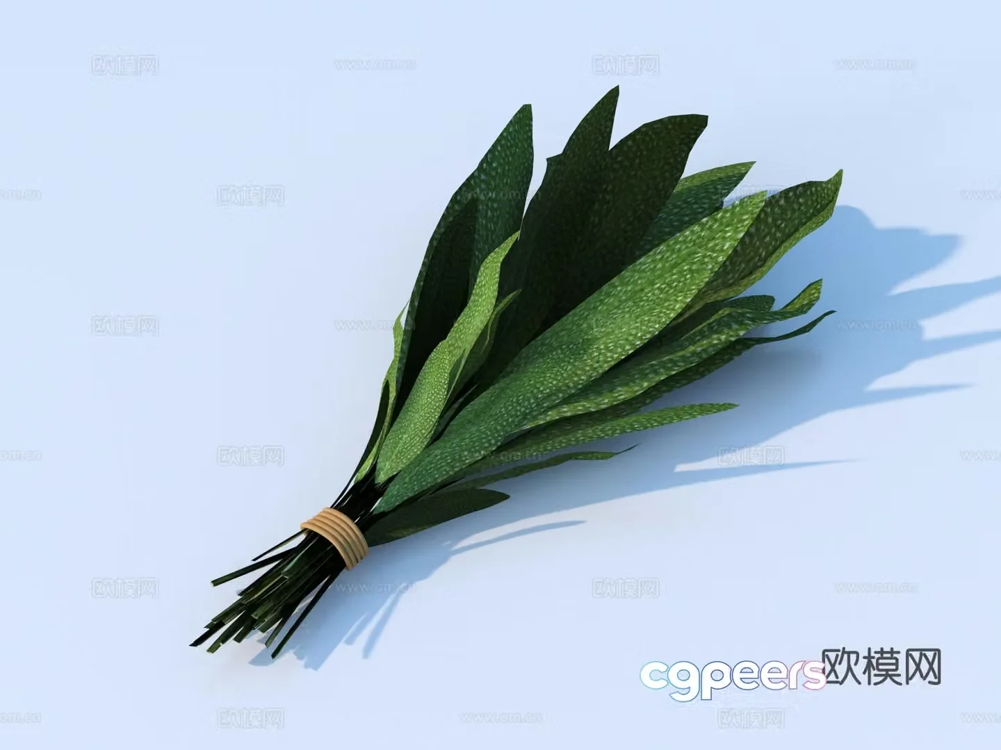 vegetables side dishes coriander 3d model