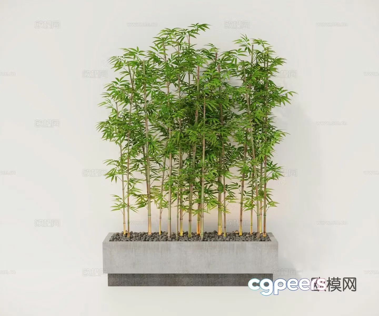 Plants bamboo green plants flower pond 3d model